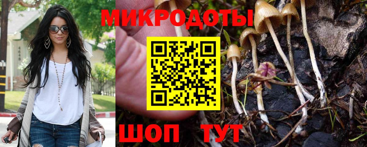 Галлюциногенные грибы прущие грибы Ханты-Мансийск